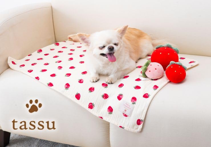 専用❤みかん❤超暖か☆Wボア♥特大ブランケット♥光る星さま柄⭐ブルー 専用⭐みかん＊特価⭐超暖か⭐とろボア×Wガーゼ☆特大